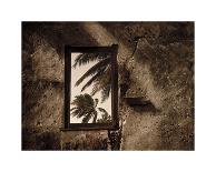 Palm View II-C^ J^ Groth-Framed Giclee Print