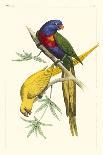 Lemaire Parrots II-C.L. Lemaire-Stretched Canvas