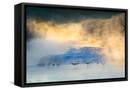 Framed Canvas