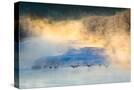 Stretched Canvas