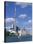 C.N.Tower and the Toronto Skyline, Ontario, Canada, North America-Rainford Roy-Stretched Canvas