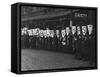 C Pankhurst in Banners-null-Framed Stretched Canvas