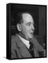 C. S. Lewis-Hans Wild-Framed Stretched Canvas