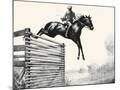 Wood Mount