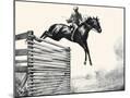 Wood Mount