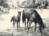 Thoroughbreds; And Their Mascots-C.W. Anderson-Art Print