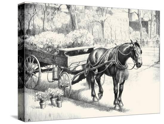 Stretched Canvas Print, , large