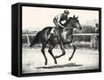 Framed Canvas