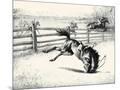 Wood Mount