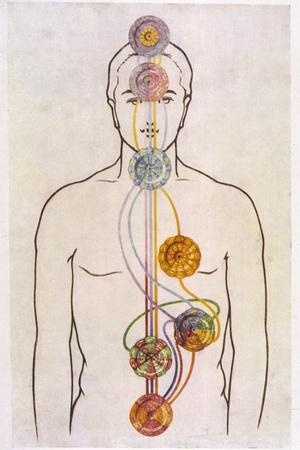 The Seven Chakras and the Streams of Vitality