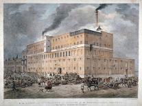 Westminster Ale and Porter Brewery on Horseferry Road, London, C1840-C Warren-Giclee Print