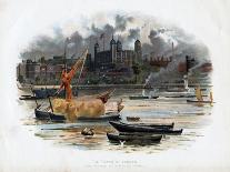 Sydney, New South Wales, Australia, C1885-C Wilkinson-Mounted Giclee Print