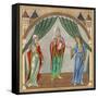 C12 Noble Women-Joseph Strutt-Framed Stretched Canvas