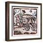 C17 Coachman-null-Framed Art Print