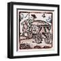 C17 Coachman-null-Framed Art Print