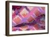 C25-Scott J. Davis-Framed Giclee Print