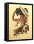C27 Girl, Two cougars-D. Rusty Rust-Framed Stretched Canvas