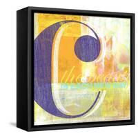 c-Cory Steffen-Framed Stretched Canvas