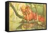 CA Fairy 36-Vintage Apple Collection-Framed Stretched Canvas