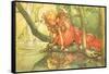 CA Fairy 36-Vintage Apple Collection-Framed Stretched Canvas