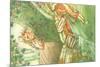 CA Fairy 37-Vintage Apple Collection-Mounted Giclee Print