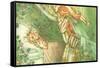 CA Fairy 37-Vintage Apple Collection-Framed Stretched Canvas