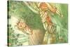 CA Fairy 37-Vintage Apple Collection-Stretched Canvas