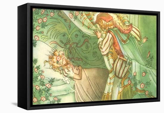 CA Fairy 37-Vintage Apple Collection-Framed Stretched Canvas