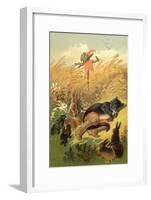 CA Fairy 45-Vintage Apple Collection-Framed Giclee Print