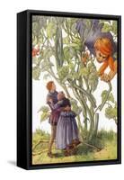 CA Fairy 52-Vintage Apple Collection-Framed Stretched Canvas