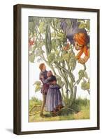 CA Fairy 52-Vintage Apple Collection-Framed Giclee Print