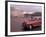 Cab racing past Buckingham Palace, London, England-Alan Klehr-Framed Photographic Print