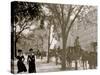 Cab Stand at Madison Square, New York-null-Stretched Canvas