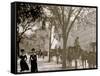 Cab Stand at Madison Square, New York-null-Framed Stretched Canvas