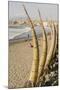 Caballitos De Totora or Reed Boats on the Beach in Huanchaco, Peru, South America-Michael DeFreitas-Mounted Photographic Print