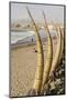 Caballitos De Totora or Reed Boats on the Beach in Huanchaco, Peru, South America-Michael DeFreitas-Mounted Photographic Print