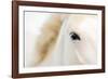 Caballo Blanco I-Shana Rae-Framed Giclee Print