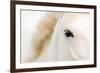 Caballo Blanco I-Shana Rae-Framed Giclee Print