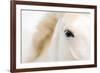 Caballo Blanco I-Shana Rae-Framed Giclee Print