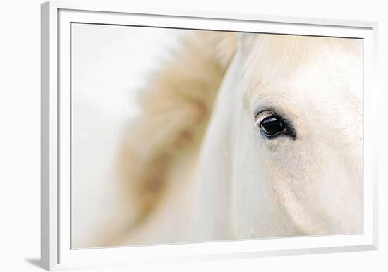 Caballo Blanco I-Shana Rae-Framed Giclee Print