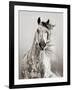 Caballo de Andaluz-Lisa Dearing-Framed Premium Photographic Print