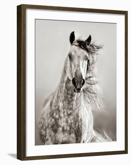 Caballo de Andaluz-Lisa Dearing-Framed Photographic Print