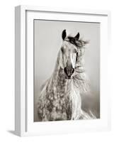 Caballo de Andaluz-Lisa Dearing-Framed Photographic Print