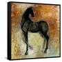 Caballo del Negro II-Maeve Harris-Framed Stretched Canvas