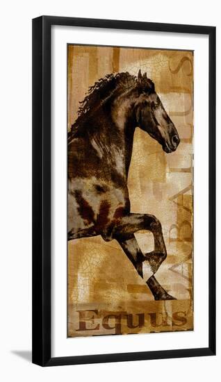 Caballus II-Mark Chandon-Framed Giclee Print