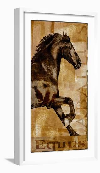 Caballus II-Mark Chandon-Framed Giclee Print