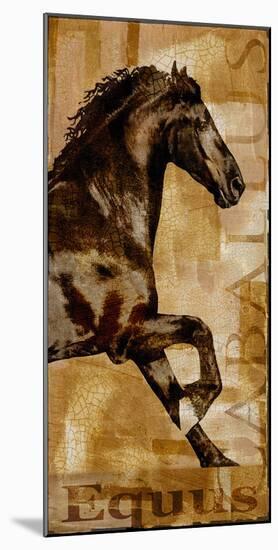 Caballus II-Mark Chandon-Mounted Giclee Print