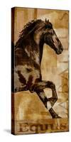 Caballus II-Mark Chandon-Stretched Canvas