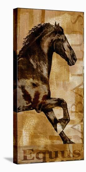 Caballus II-Mark Chandon-Stretched Canvas