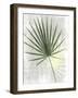 Cabana 1-Denise Brown-Framed Art Print